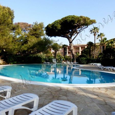 Magnifique Parc De La Presqu'Ile Avec Piscine Et Plage Face A Porquerolles ! 耶尔 外观 照片