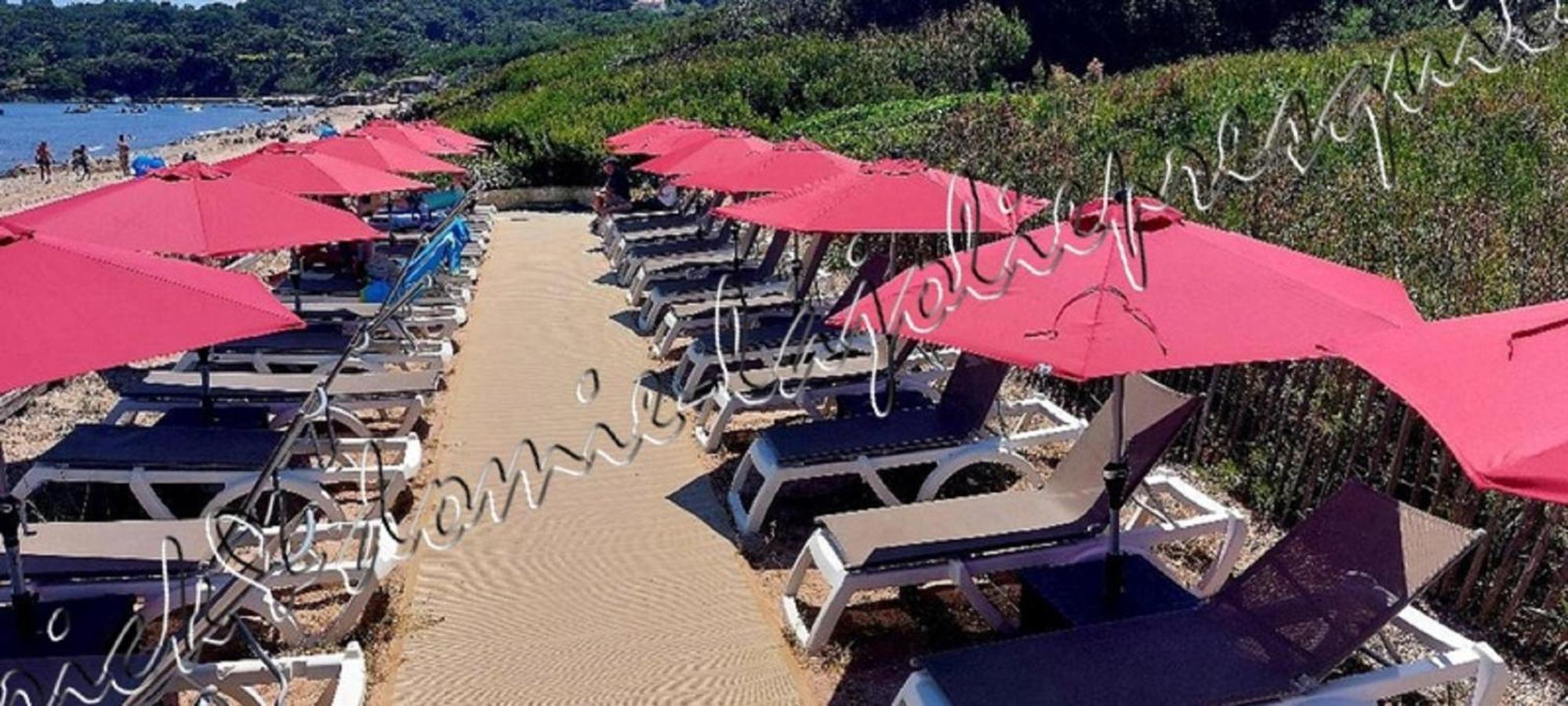 Magnifique Parc De La Presqu'Ile Avec Piscine Et Plage Face A Porquerolles ! 耶尔 外观 照片