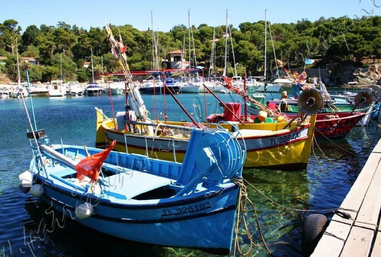 Magnifique Parc De La Presqu'Ile Avec Piscine Et Plage Face A Porquerolles ! 耶尔 外观 照片