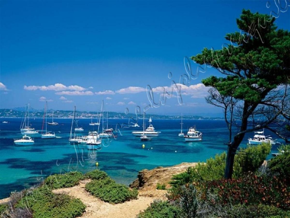 Magnifique Parc De La Presqu'Ile Avec Piscine Et Plage Face A Porquerolles ! 耶尔 外观 照片