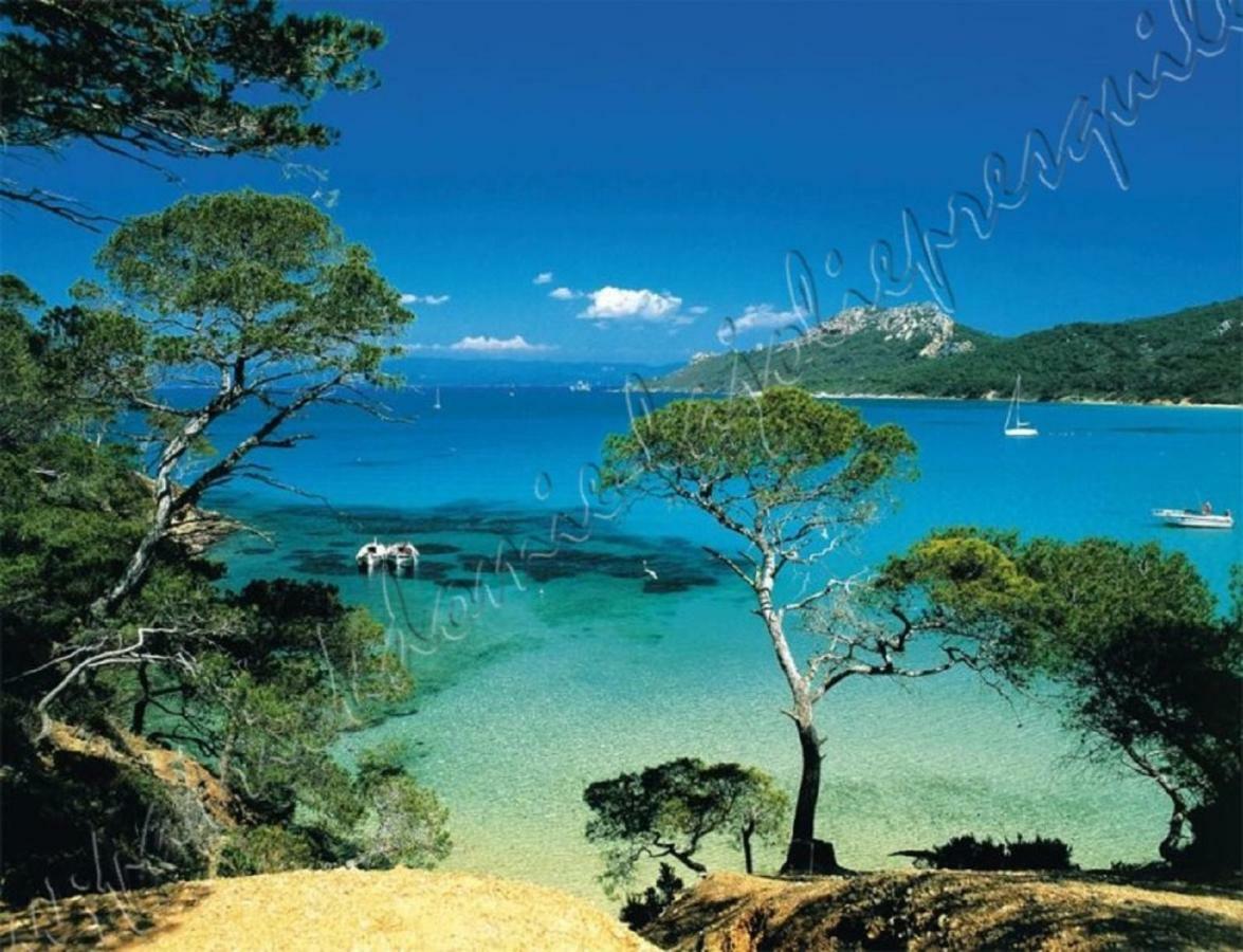 Magnifique Parc De La Presqu'Ile Avec Piscine Et Plage Face A Porquerolles ! 耶尔 外观 照片