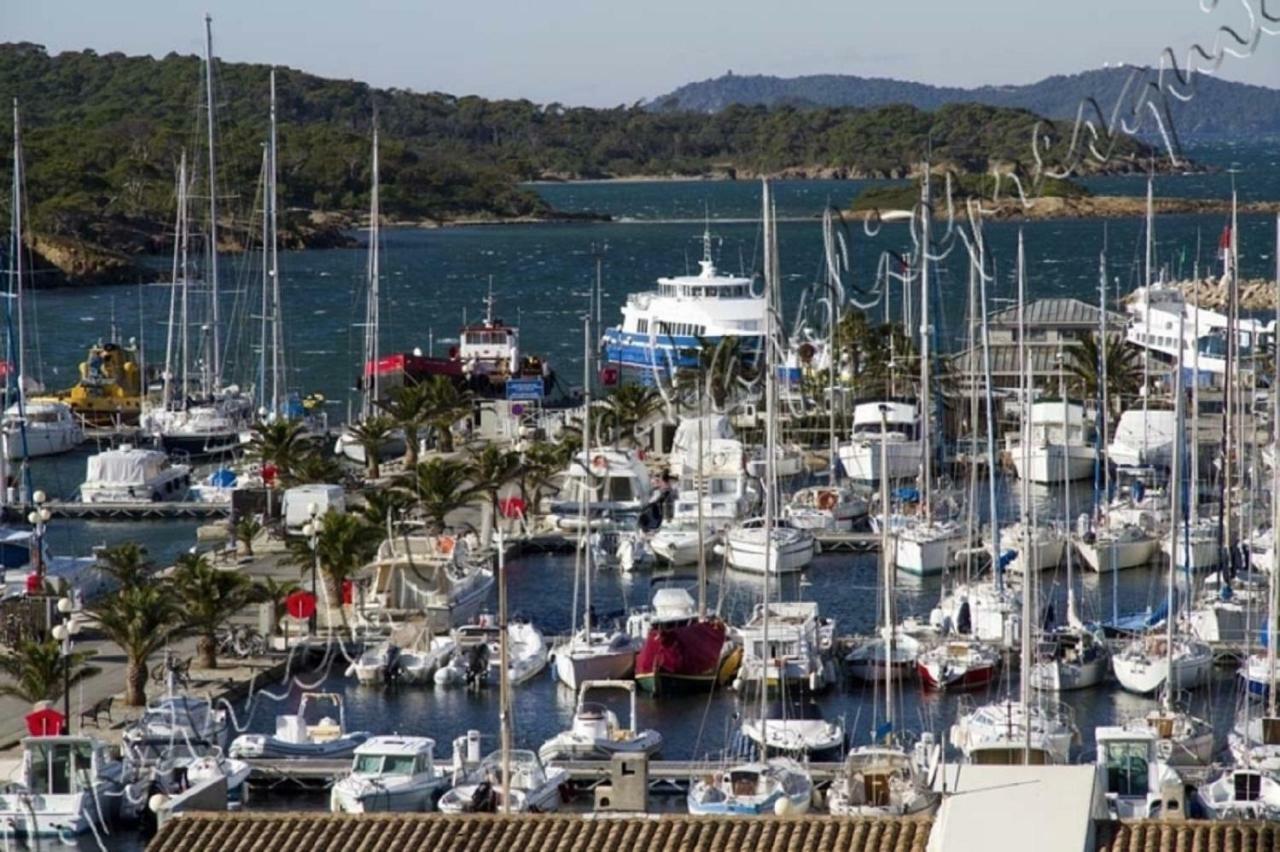 Magnifique Parc De La Presqu'Ile Avec Piscine Et Plage Face A Porquerolles ! 耶尔 外观 照片