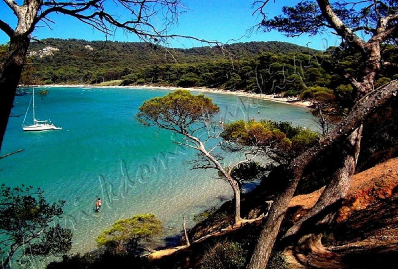 Magnifique Parc De La Presqu'Ile Avec Piscine Et Plage Face A Porquerolles ! 耶尔 外观 照片