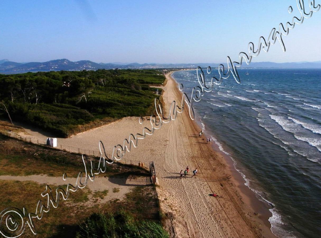 Magnifique Parc De La Presqu'Ile Avec Piscine Et Plage Face A Porquerolles ! 耶尔 外观 照片